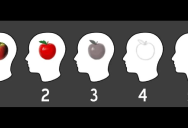 The ‘Apple Visualization Scale’ Illustrates How People’s Brains Work Differently