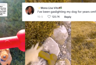 Dog Owner Shows How Dogs Can’t See Red Toys In Grass Because They View Colors Differently From Humans