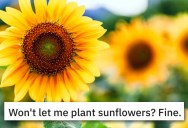 ‘So yes to corn, no to sunflowers?’ Attorney Helps Man Fight HOA And Keep His Sunflowers After Finding A Contract Loophole