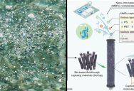 Scientists Say New Plant-Based “bioCap” Device Can Filter Almost All Microplastics From Water