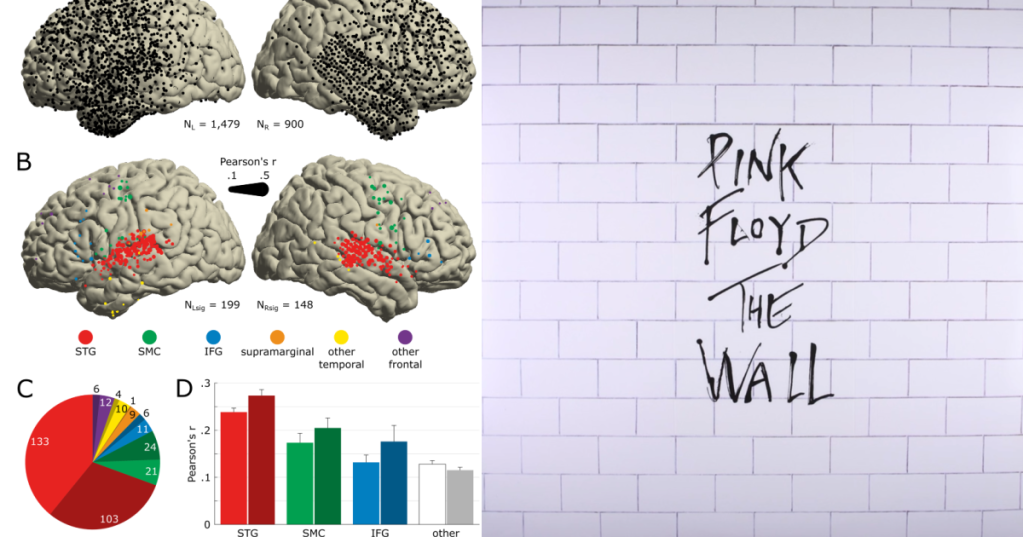 Scientists Extracted A Pink Floyd Song From Somebody's Mind Just By Monitoring Their Brain Waves