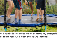 HOA Board Members Tried To Mess Up Homeowner’s Fun, So They Maliciously Complied WIth The Rules And Replaced Them Instead