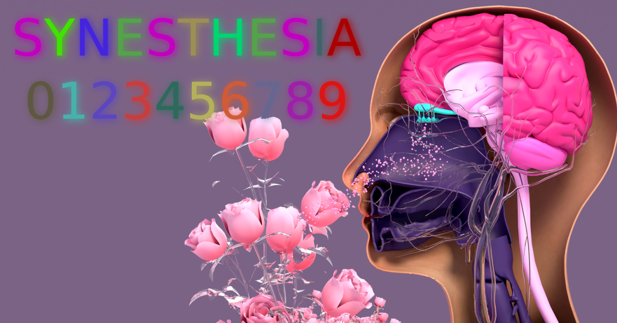 SynesthesiaAutism Study Finds A Potential Genetic Link Between Autism And Synesthesia