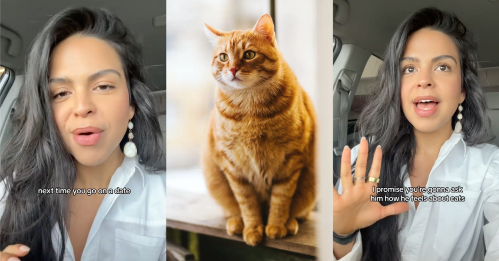 'Dogs are pretty easy to train. But cats are a whole other story.' A Dating Expert Said Someone’s Answer To How They Feel About Cats Can Reveal A Big Red Flag