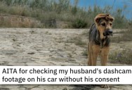 ‘He threw a frisbee into a field, yelled fetch and drove off without her.’ Woman Watches Husband’s Dashcam Footage And Learns He Abandoned Her Dog In Another State.