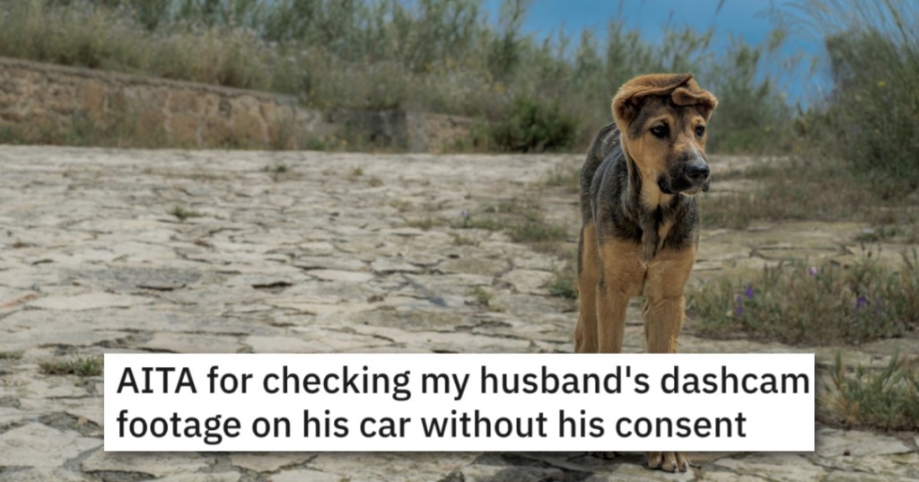 'He threw a frisbee into a field, yelled fetch and drove off without her.' Woman Watches Husband's Dashcam Footage And Learns He Abandoned Her Dog In Another State.