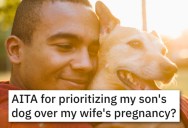 ‘The dog isn’t a threat.’ His Wife Wants To Give Away His Son’s Dog Because She’s Pregnant, But He Absolutely Refuses