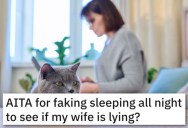 ‘Things weren’t adding up, so I decided to run a test.’ Man Stays Up All Night To Catch His Wife In A Lie After She Tried To Get Rid Of The Family Pets