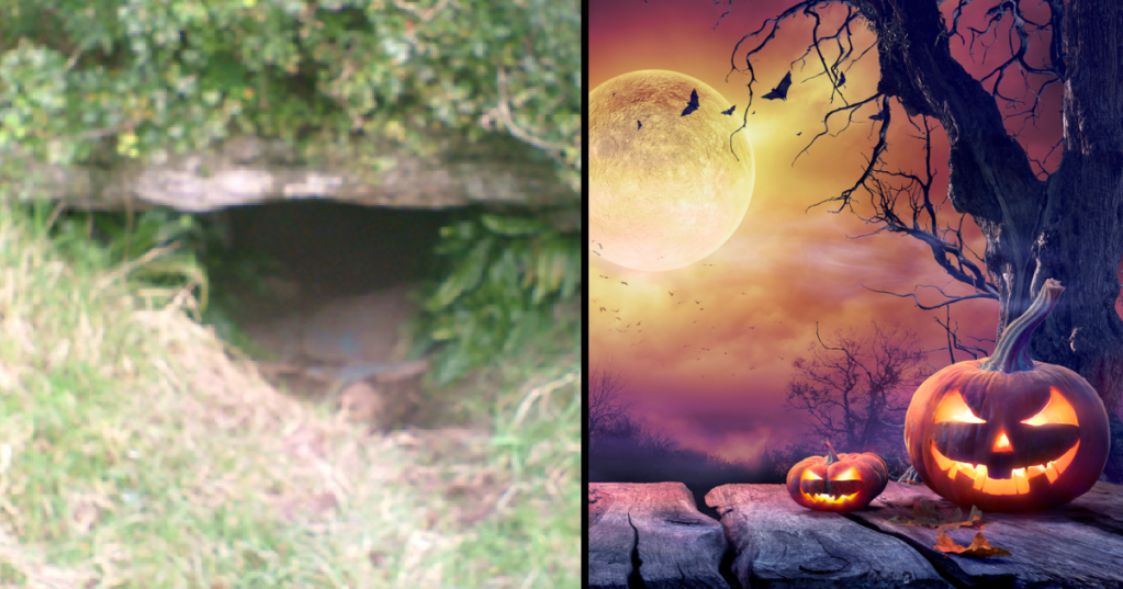 Is Ireland's "Cave of the Cats" Where Halloween Was Born?