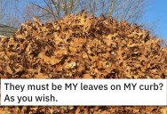 ‘Now they are all “my” leaves.’ Guy Gets Hilarious Revenge On Leaf Pickup Company When They Leave Him With Piles