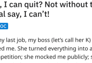 ‘Before she could fight me, I pulled up the email.’ Woman Takes The Opportunity To Quit, But Not Before Publicly Embarrassing Her Boss