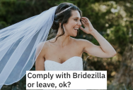 Bridezilla Didn’t Want A Bridesmaid To Wear Glasses, So The Group Of Bridesmaids Got Revenge