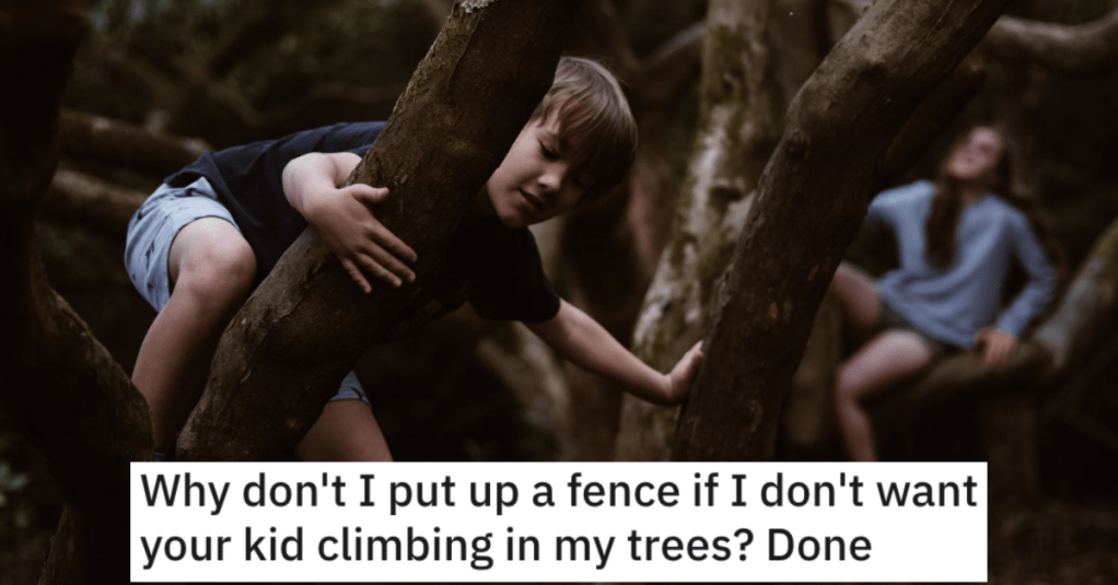 Neighbor Tells Her To Build A Fence If She Doesn't Want Kids Climbing Her Tree, So She Maliciously Complied