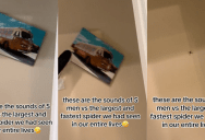 Here’s What It Sounds Like When Five Grown Men Get Freaked Out By A Spider In Their House