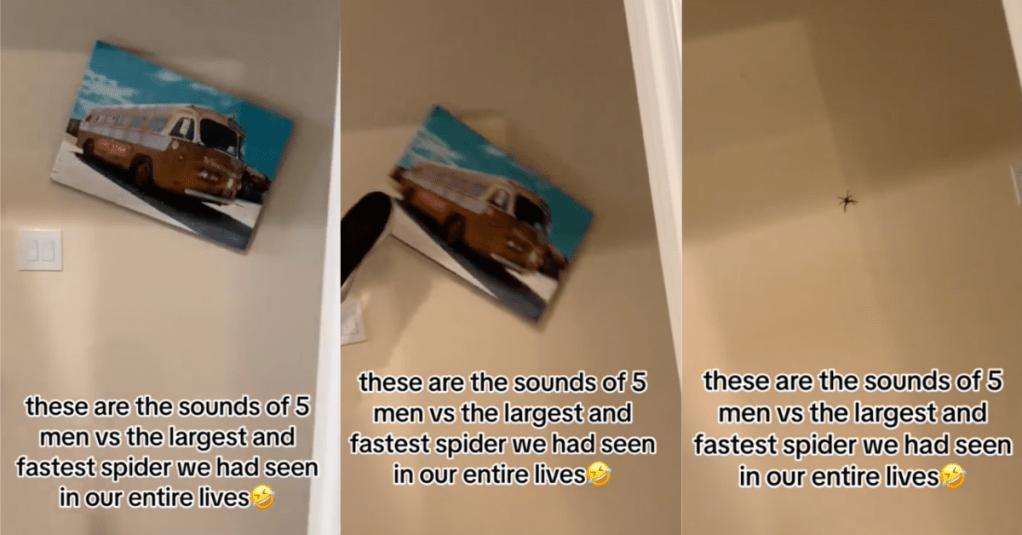 Here's What It Sounds Like When Five Grown Men Get Freaked Out By A Spider In Their House