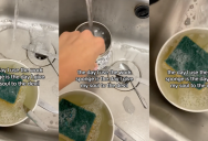 A Worker Shares Funny Video Showing Her Refusing To Use The Gross, Communal Work Sponge