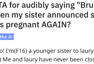 26-Year-Old Sister Keeps Having Kids Even Though She Can’t Take Care Of Them, So 16-Year-Old Younger Sister Calls Her Out
