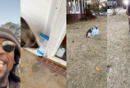 Delivery Driver Chases Dog That Stole His Delivery And It’s Stinking Adorable