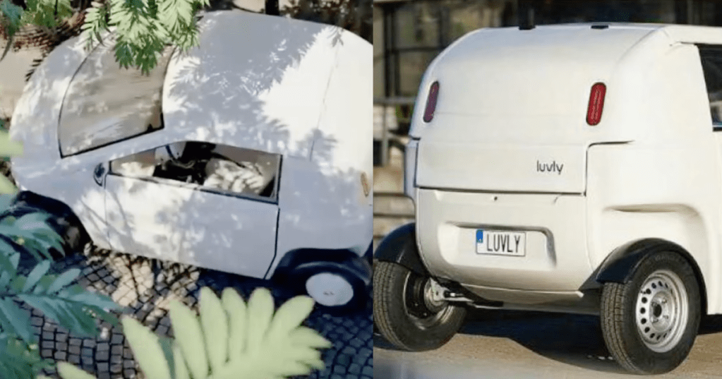 Swedish Company Creates Flat-Pack Car They Can Send In The Mail: The Luvly O