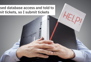 Company Tells Employee He Can Only Get Access To Database By Submitting A Ticket. So He Submits 400 Of Them.