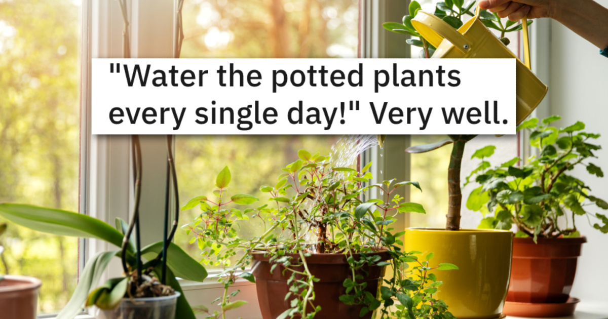 Older Sister Insists Younger Sister Follow Strict Plant Watering Instructions, Even Though It's Causing Them To Rot - Twisted Sifter