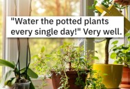 Older Sister Insists Younger Sister Follow Strict Plant Watering Instructions, Even Though It’s Causing Them To Rot