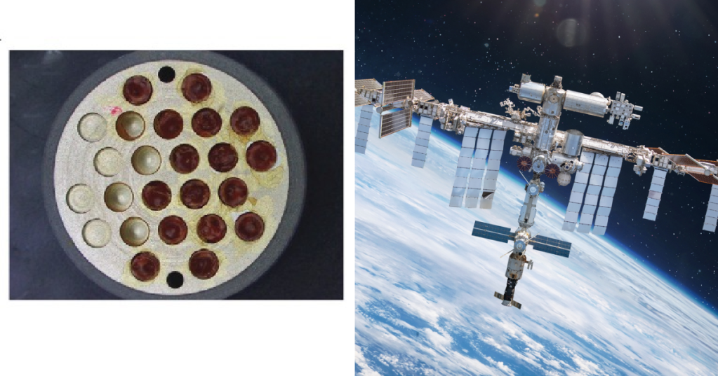 NASA Swabs The Outside Of The Space Station To See What's Growing