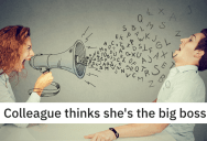 Pushy Coworker Overpromises On A Big Project, So Employees Get Revenge By Standing Firm On Overtime. – ‘I’m the boss, you do what I say.’