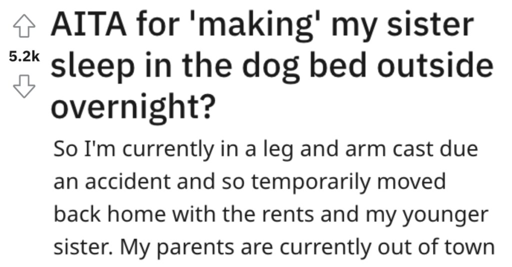 Forgetful Sister Didn't Heed Her Brother's Advice About Taking Her Keys And Ends Up Sleeping In A Dog Bed Outside