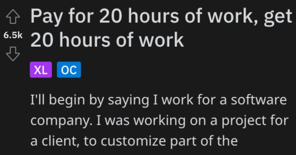 'Client does the shocked pikachu face.' - Client Demands To Only Pay For 20 Hours Of Work, But Gets Angry When The Project Is Delayed