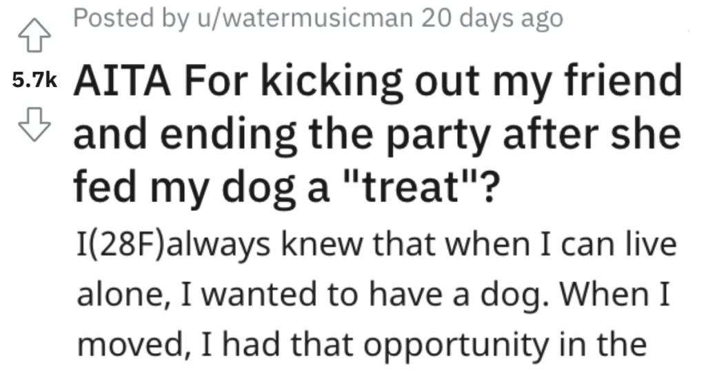 Friend Feeds Her Dog A Piece Of Food That It Could Be Allergic To, So She Kicks Everybody Out Of The Party