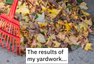 Trash Collectors Demanded $250 To Clear Their Yard Waste, So They Used Their Own Rules Against Them To Create More Work