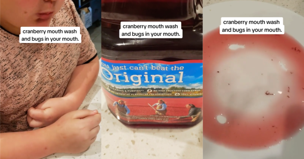 Man Claims Cranberry Juice Has A Bunch Of Bugs In It, But People Have Different Explanations