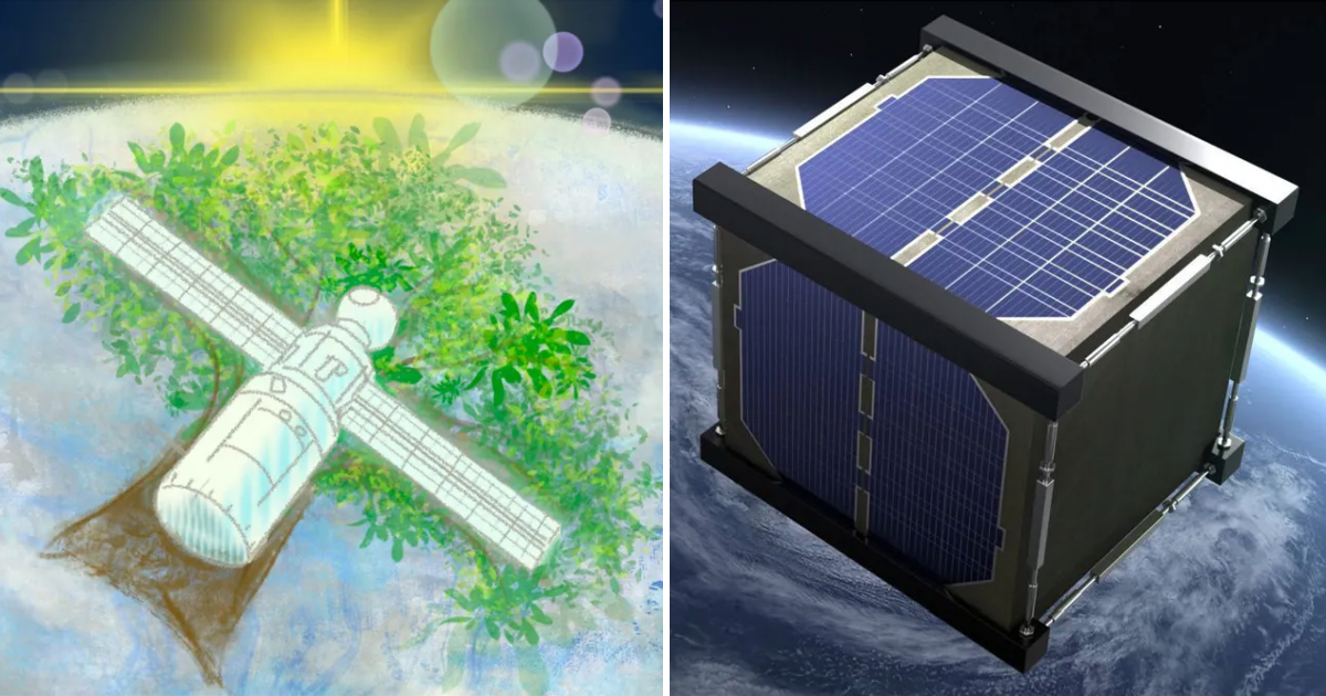 Major Space Organizations Are Creating Satellites Made From Wood To Combat Space Waste