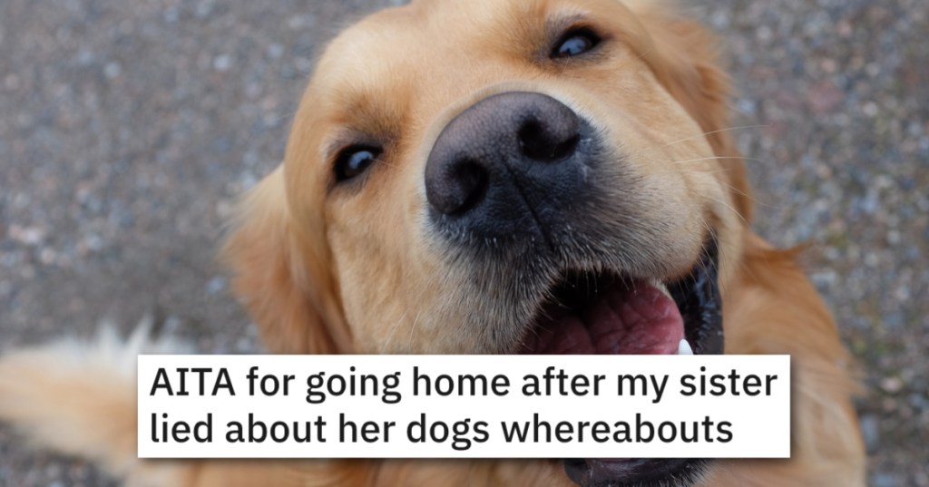 His Sister Promised To Lock Up Her Annoying Golden Retrievers, But When They Got To Her House She Demands They Roam Free