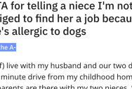 Aunt Gives One Niece A Dog Sitting Job, But The Other Is Allergic. So Their Mom Asks Her To Give The Other A Job To Be Fair To Them Both.