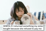 Her Sister Refused To Pay Her For Cat Sitting, So She Wants To Find A Creative Way To Get The Money