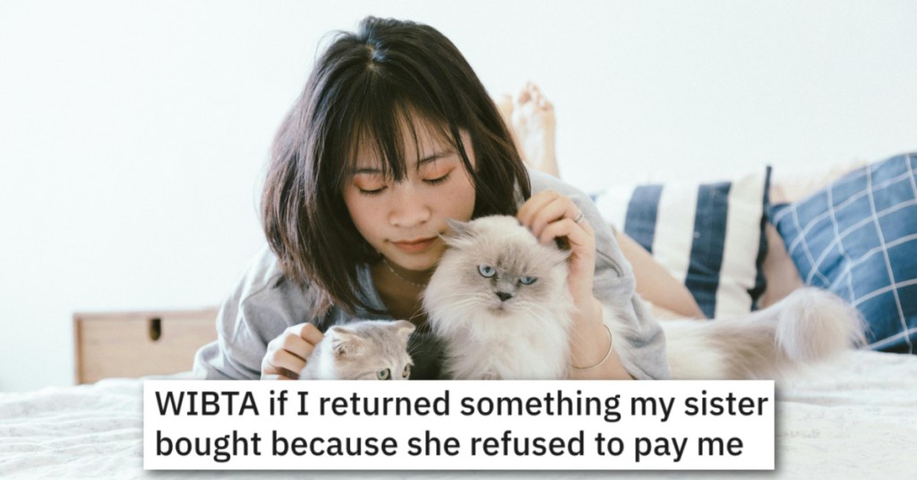 Her Sister Refused To Pay Her For Cat Sitting, So She Wants To Find A Creative Way To Get The Money