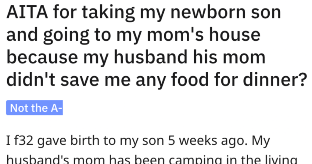Her Husband And Mother-In-Law Didn't Save Her Dinner, So She Took Their Newborn And Left