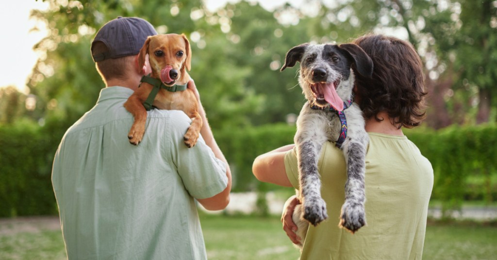 Does Your Dog Think You're His Parent Or His Master? Science Finally Has The Answer.