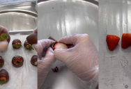 Customer Requests All The Chocolate Is Peeled Off Chocolate-Covered Strawberries