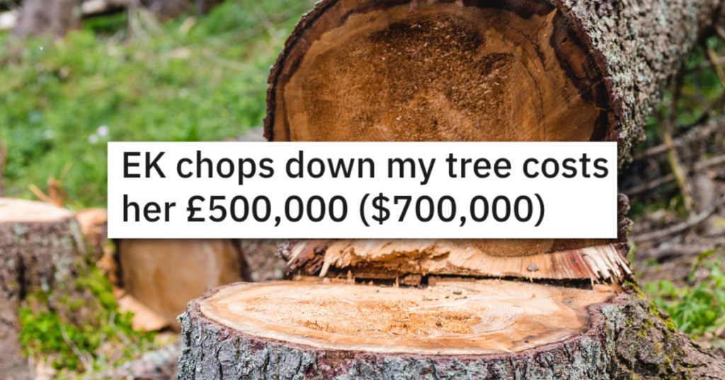 New Neighbors Cut Down Their 100ft Tree, So They Took Them To Court And Got A $500k Settlement