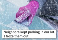 Neighbors Were Ignoring His No Parking Signs, So He Turned All Their Cars Into Popsicles
