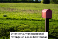 Intoxicated Driver Kept Running Over A Man’s Mailbox, So He Decided It Was Time To Get Even