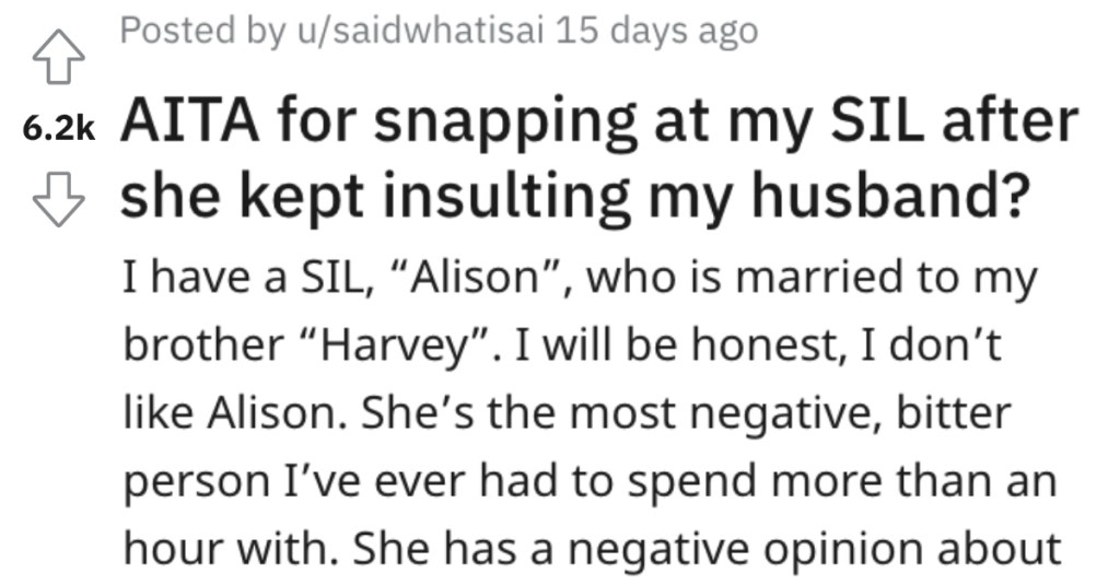 Her Sister-In-Law Refused To Stop Insulting Her Husband, So She Snapped Back And Pointed Out Brother-In-Law's Infidelity