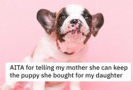 Grandma Buys Granddaughter A Pit Puppy Without Asking, So Dad Tells Her She Can Keep It At Her House