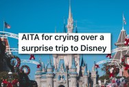 Wealthy In-Laws Were Annoyed By Her Happy Tears Over Disney Trip, So She Had To Explain Her Poor Background To Get Them Off Her Back