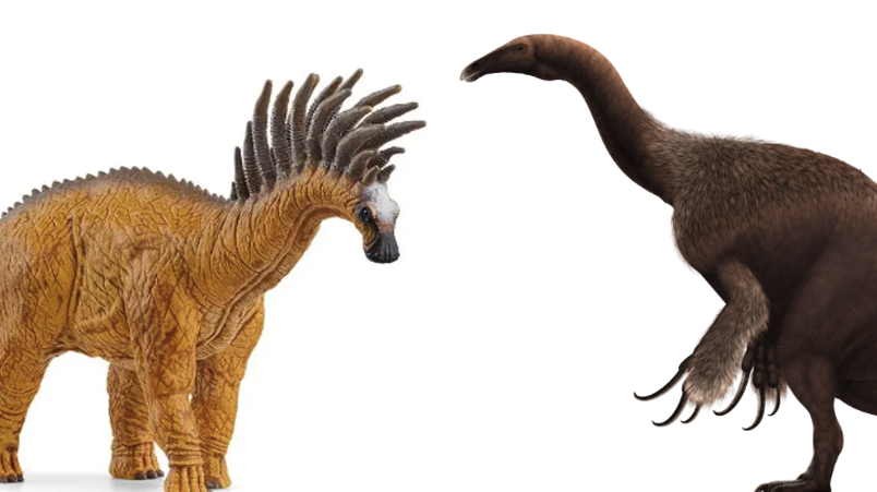 Bajadasaurus Pronuspinax And Therizinosaurus Cheloniformis Are Two Dinosaurs That People Should Know More About