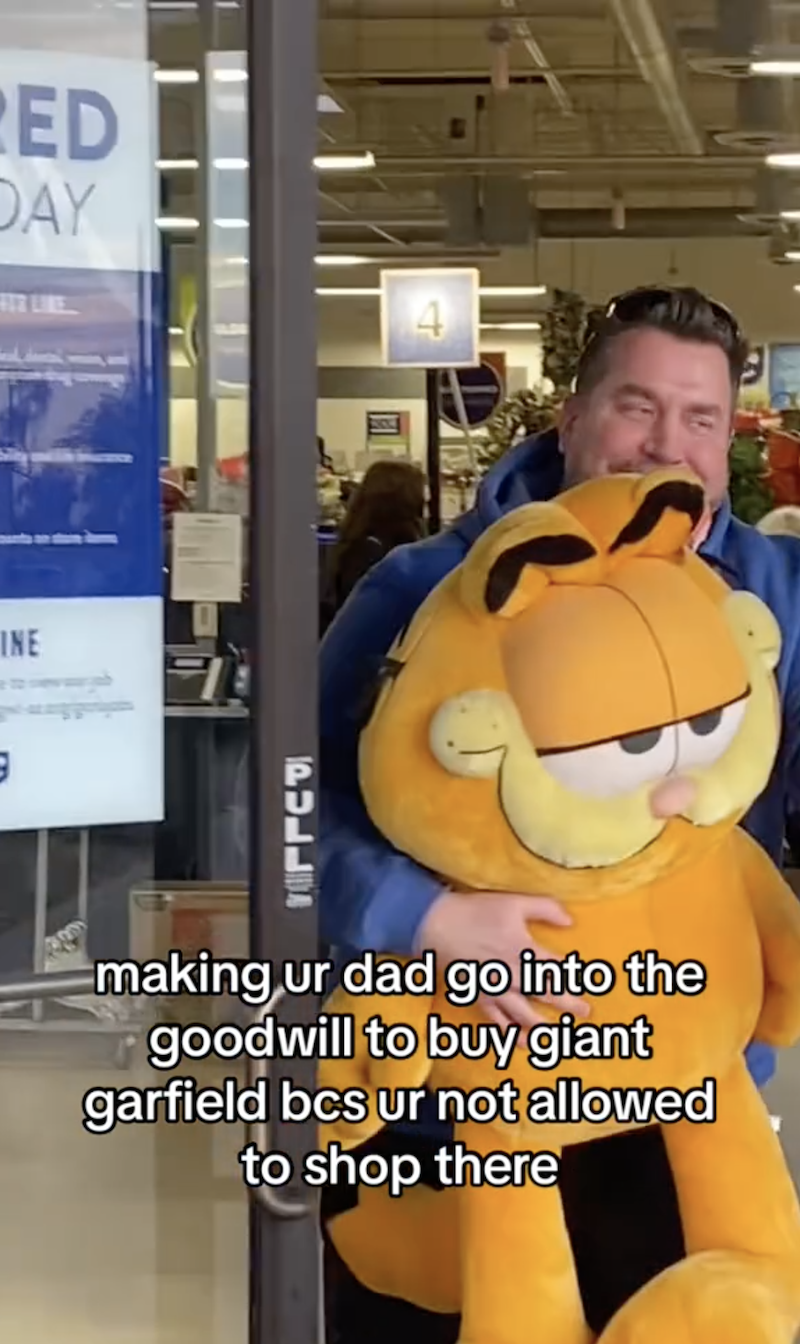 Garfield SS 2 Goodwill Forbids Employees From Shopping At Their Store, So Worker Sends Her Dad To Buy Her A Garfield Plushie. It Ends Up Getting Her Fired.