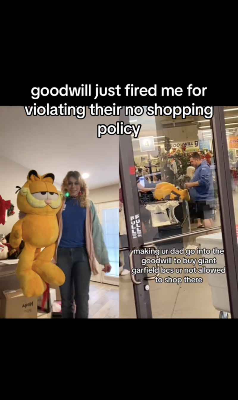 Garfield SS 3 Goodwill Forbids Employees From Shopping At Their Store, So Worker Sends Her Dad To Buy Her A Garfield Plushie. It Ends Up Getting Her Fired.